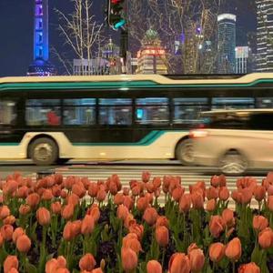 泰国成人做爰A片
